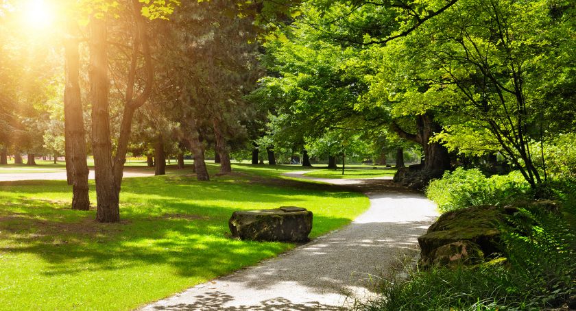 Park przy Strażackiej