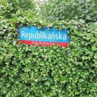 Fotka nr 1 z 2