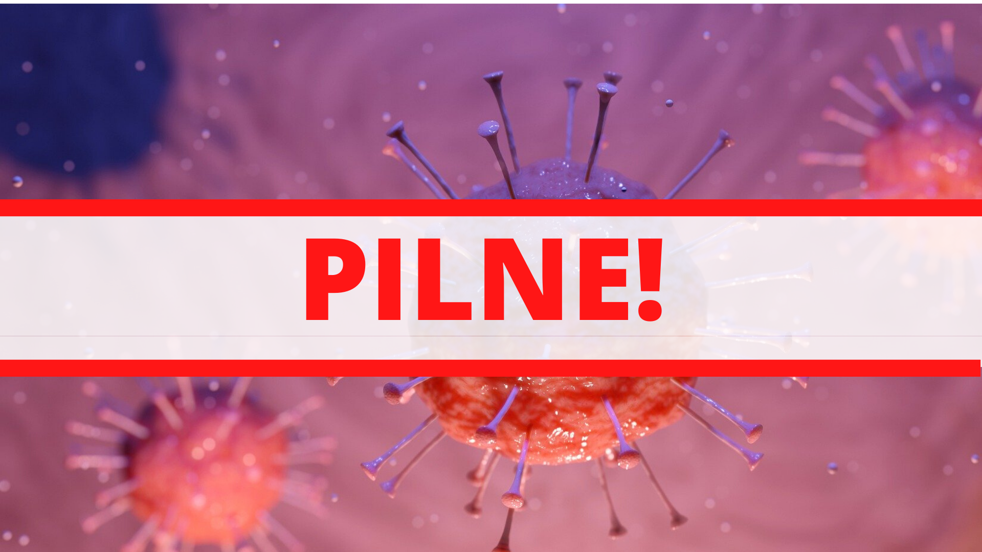 Zdjęcie: Rembertów wiadomości Rembertów Dzielnica Warszawy Portal Rembertowa iRembertów