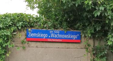 Zieleń na rembertowskich ulicach «atakuje» pieszych