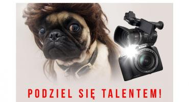 Fotograf zwierząt poszukiwany!